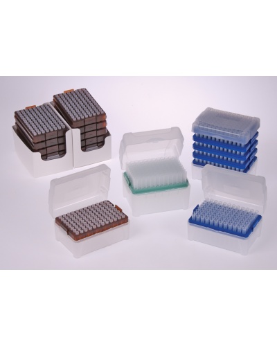 refill_tips_group_shot